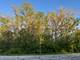 Lot 17 Lacey, Naperville, IL 60563