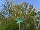 Lot 17 Lacey, Naperville, IL 60563