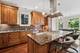6229 N Newark, Chicago, IL 60631