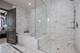 225 N Columbus Unit 8008, Chicago, IL 60601
