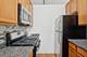 1224 W Van Buren Unit 317, Chicago, IL 60607