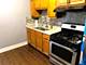 6855 S King Unit 2S, Chicago, IL 60637