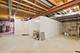 309 Strada Del Fazio, New Lenox, IL 60451