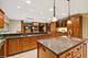 309 Strada Del Fazio, New Lenox, IL 60451