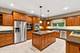 309 Strada Del Fazio, New Lenox, IL 60451