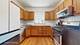 117 S Grove, Oak Park, IL 60302