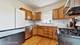 117 S Grove, Oak Park, IL 60302