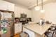 1716 N North Park Unit GARDEN, Chicago, IL 60614