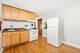 3702 S Wolcott, Chicago, IL 60609