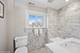 570 Happ, Northfield, IL 60093