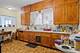 10100 S Parnell, Chicago, IL 60628