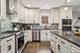4130 N Mango, Chicago, IL 60634