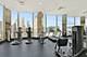 535 N Michigan Unit 1205, Chicago, IL 60611