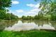1317 Leonard, Schaumburg, IL 60193