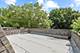 221 Pin Oak, Wilmette, IL 60091