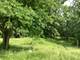 338 Willow, New Lenox, IL 60451
