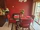 18324 Pond View, Tinley Park, IL 60477