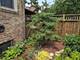 7439 N Maplewood, Chicago, IL 60645