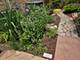 7439 N Maplewood, Chicago, IL 60645