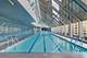 950 N Michigan Unit 4003, Chicago, IL 60611