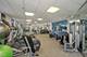 950 N Michigan Unit 4003, Chicago, IL 60611