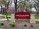 519 N Main Unit 4BN, Glen Ellyn, IL 60137