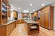 1207 Bonnema, Naperville, IL 60565