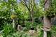 2951 Colfax, Evanston, IL 60201