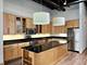 1107 Lake Unit 2, Oak Park, IL 60301