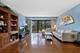 1105 N Mill Unit 215, Naperville, IL 60563