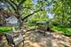 116 W Bailey, Naperville, IL 60565