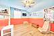 11018 S Sawyer, Chicago, IL 60655