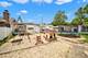 11018 S Sawyer, Chicago, IL 60655