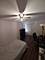 7320 N Rogers Unit 212, Chicago, IL 60626
