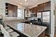 2013 W Rice Unit 3, Chicago, IL 60622