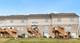 14867 Steven, Lemont, IL 60439