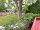 10 Chestnut, Buffalo Grove, IL 60089