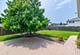 15136 Orlan Brook, Orland Park, IL 60462