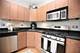438 W Surf Unit 3B, Chicago, IL 60657