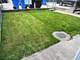 909 W Newport Unit 2, Chicago, IL 60657