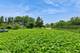 6 Normandee, Burr Ridge, IL 60527