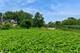 6 Normandee, Burr Ridge, IL 60527