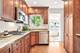 737 S East, Oak Park, IL 60304
