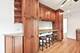 737 S East, Oak Park, IL 60304