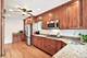 737 S East, Oak Park, IL 60304