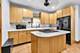 1027 N Harlem, Oak Park, IL 60302