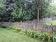 2799 Squaw Valley, Aurora, IL 60503