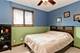 13707 W Carefree, Homer Glen, IL 60491