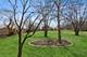 13707 W Carefree, Homer Glen, IL 60491