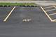 7335 Oakwood Unit 4F, Lyons, IL 60534